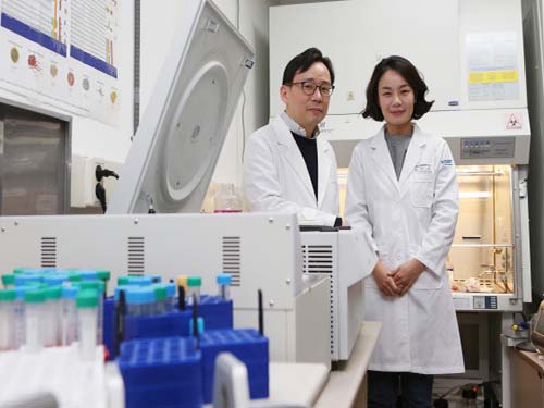 Cellular Mechanism for Severe Viral Hepatitis Identified 이미지