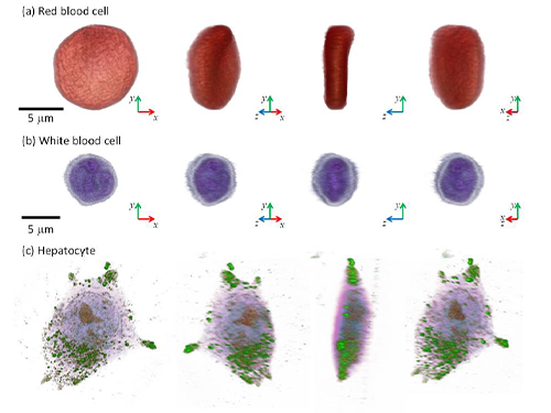 The 2016 Research Highlights 이미지