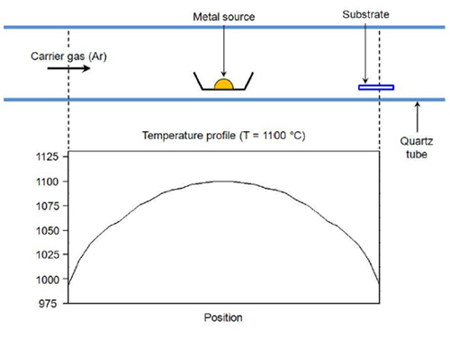 Development of Gold Nanowire Probe Needle with an Increased Sensitivity 이미지