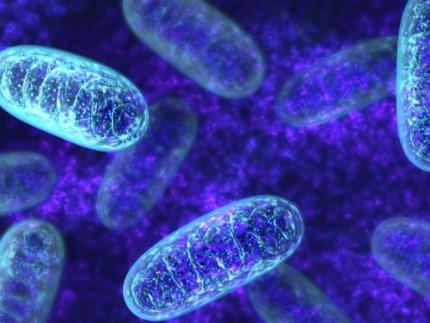 Unraveling Mitochondrial DNA Mutations in Human Cells 이미지