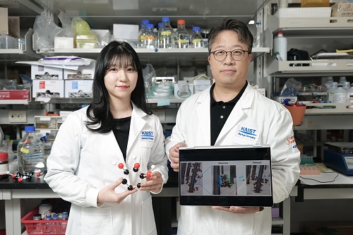 KAIST Proves Possibility of Preventing Hair Loss with Polyphenol Coating Technology 이미지
