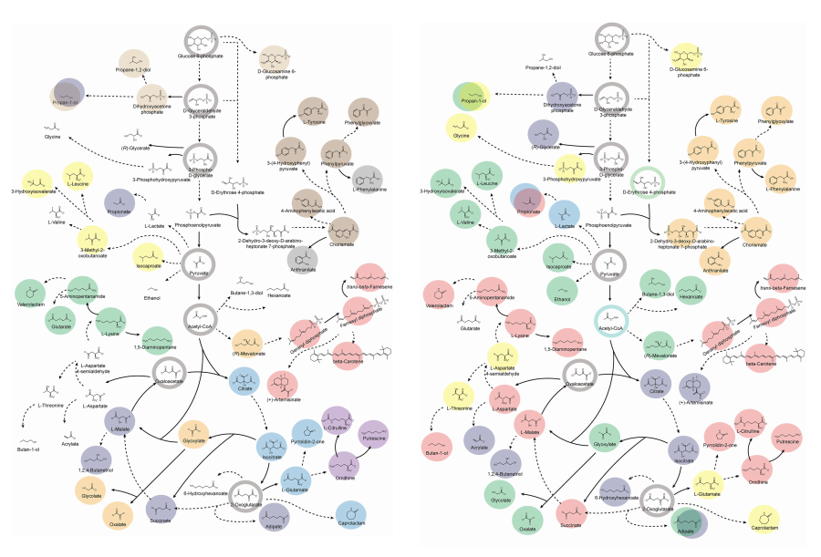 KAIST provides a comprehensive resource on microbial cell factories for sustainable chemical production 이미지