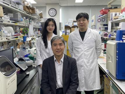 KAIST Identifies Master Regulator Blocking Immunotherapy, Paving the Way for a New Lung Cancer Treatment 이미지