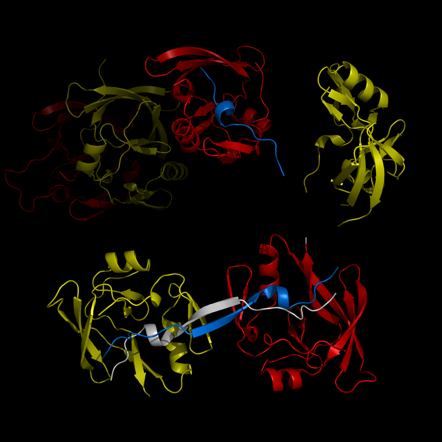 New Structural Insight into Neurodegenerative Disease 이미지