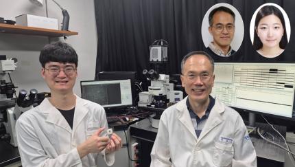 KAIST Successfully Implements 3D Brain-Mimicking Platform with 6x Higher Precision 이미지